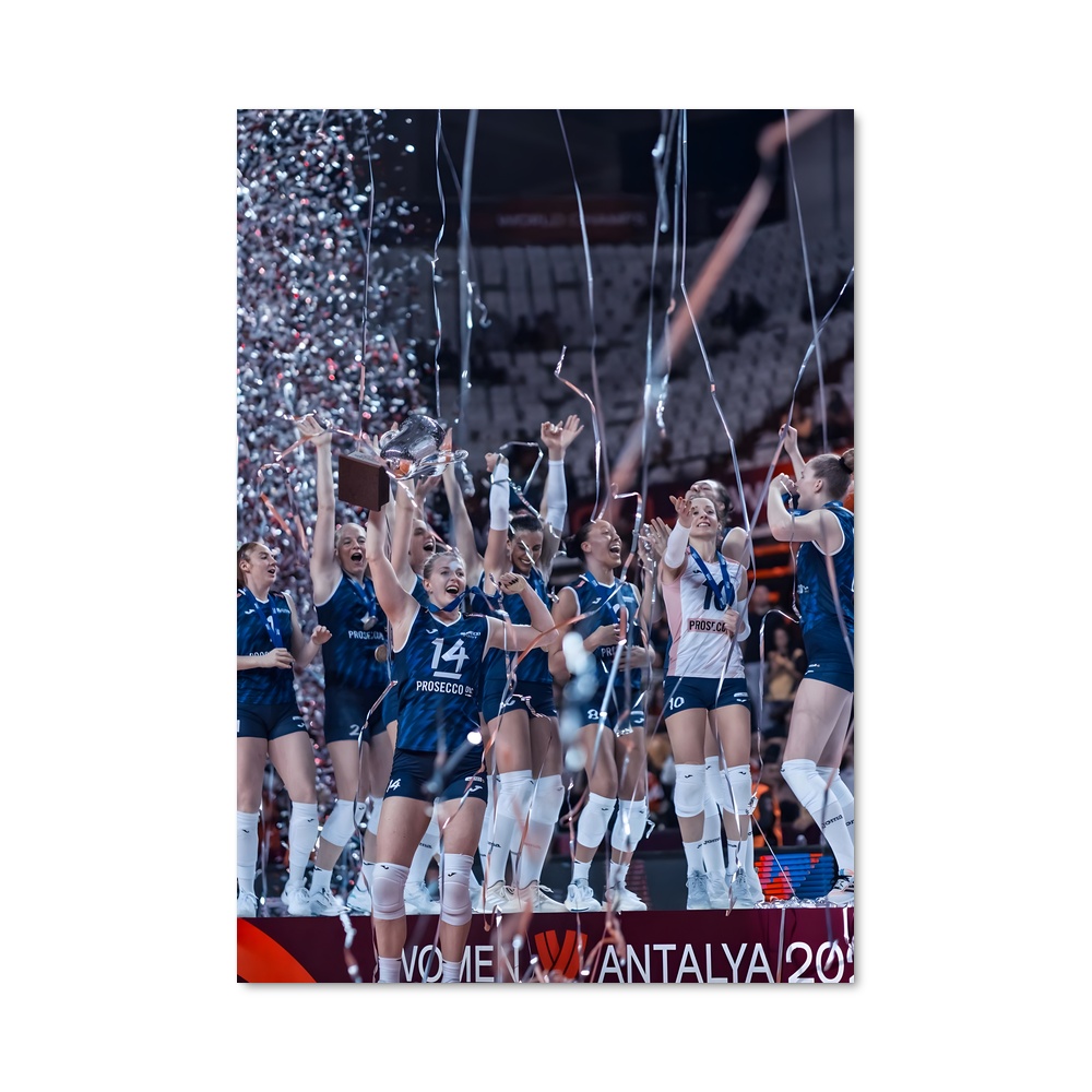 Poster Volleyball world précieux